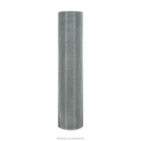 Rouleau de treillis métallique tissé en acier inoxydable 304/316, maille 20, tissage plat, résistant à la corrosion, pour filtres de ventilation et de liquides DIY