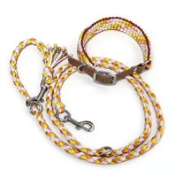 Conjunto de Correa y Collar de Lujo Personalizado para Perro, Cuerda Ajustable y Resistente, Multicolor, Tejido de Paracord, con Etiqueta de Nombre Personalizada