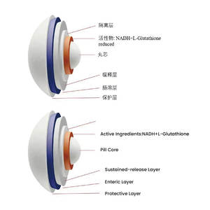 แคปซูลเม็ดบีบอัดแบบปลดปล่อยอย่างต่อเนื่อง <span class=keywords><strong>NADH</strong></span> 10% ผู้ผลิต OEM อาหารเสริมเพิ่มพลังงาน พร้อมแอลกลูต้าไธโอน หุ้มด้วยสารเอนเตอร์ติกโค้ทติ้ง รับผลิตแบรนด์ส่วนตัว - Product Image 3