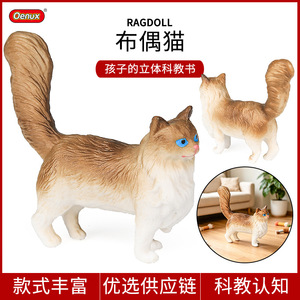 Modelos de simulación de mascotas transfronterizos yxs para el reconocimiento de niños, perros rizados alemanes, Ragdoll, tricolor, sin pelo - Product Image 1