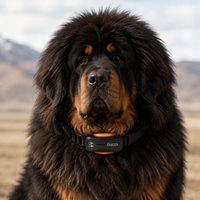 Localizador GPS para Mascotas, Silicona y Plástico, Posicionamiento en Tiempo Real, Alertas de Geocerca con IA, Luz LED, Indicaciones Sonoras, Monitor de Salud, SIM 4G