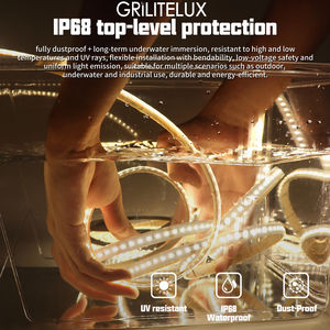 แถบไฟ LED แบบเส้นเดี่ยว ยาว 167 ฟุต 50 เมตร DC24V 12V 120LEDs/เมตร แถบไฟแบบยืดหยุ่น กันน้ำ IP68 สำหรับสระว่ายน้ำ - Product Image 3