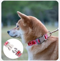 Collier pour chien Kingtale, accessoires personnalisés pour chien, sangle en nylon durable imprimée avec boucle en métal
