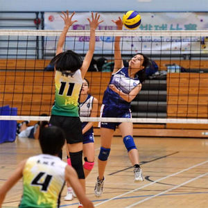 <span class=keywords><strong>Kit</strong></span> de <span class=keywords><strong>filet</strong></span> de <span class=keywords><strong>volley</strong></span>-ball à réglage rapide de style olympique comprenant des poteaux et des sangles de tension pour <span class=keywords><strong>filet</strong></span> de <span class=keywords><strong>volley</strong></span>-ball de sports de plage - Product Image 6