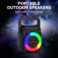 Haut-parleur portable avec lampe à flamme RGB compatible USB/TF/TWS, 3 pouces, 5W, 3.7V, batterie au lithium 800mAh, pour l'extérieur