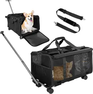 Hersteller OEM abnehmbare tragbare extra große Airline zugelassen Hund Katze Haustierhalter mit Rädern