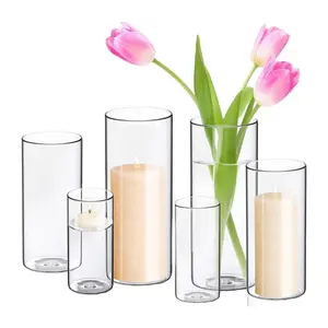 Estilo español Vintage <span class=keywords><strong>Madrid</strong></span> Relieve Diseño Rústico Pequeño Floral Cristal Hidroponía Flor Planta transparente Mini Florero de brotes de vidrio - Product Image 1