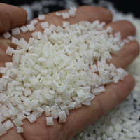 Gránulos de Plástico PEEK Virgen de Grado de Extrusión, Pellets de PEEK Anticorrosión para Componentes de Instrumentos de Alta Gama