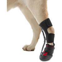 Réglable Canine Cruciate Ligament Joint Protection Wrap Néoprène Fiber Blessure Chirurgie Chaussure Anti-Chute Résistant À L'usure Caractéristiques