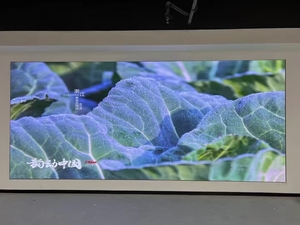 Pantalla LED de paso de píxeles estrecho para interiores, directa de fábrica, P1.25 P1.538 P1.86 P2 P2.5, a todo color, para publicidad comercial y vallas publicitarias. - Product Image 4
