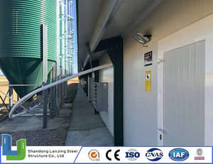 Mesin unggas ayam Broiler perternakan dengan makanan otomatis - Product Image 3