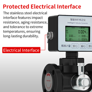 <b>Flow</b> <b>Meter</b> <b>Meter</b> Flare Gas <b>Flow</b> <b>Meter</b> Acetylene <b>Flow</b> <b>Meter</b> Nitrogen Gas <b>Flow</b> Measurement <b>Flow</b> <b>Meter</b> - Product Image 4