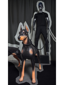<span class=keywords><strong>Dober</strong></span> pintura Cool perro modelo fibra de vidrio Doberman Pinscher tamaño real mascota tela pantalla fibra de vidrio Doberman maniquí perro modelo - Product Image 4