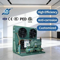 Unité de condensation à compresseur à piston semi-hermétique pour chambre froide