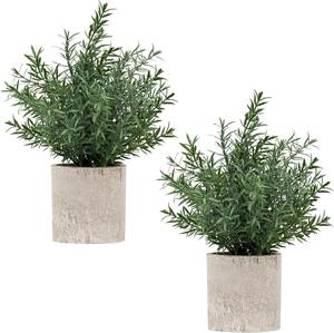 Plantes artificielles transfrontalières Wwyg très vendues : <span class=keywords><strong>Eucalyptus</strong></span> et Romarin en <span class=keywords><strong>pot</strong></span>, écologiques, pots cylindriques en plastique vert de 30 cm - Product Image 6