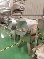 Multifunctionele Groente, Fruit, Aardappel, Wortelsnijmachine Hakken, In Blokjes Gesneden Verwerkingsmachines