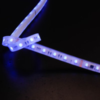 Bande LED intelligente adressable DMX512 5050RGBW 60 LED 5 mètres DC24V programmable flexible pour aménagement paysager USB