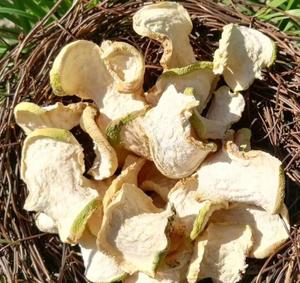 Trung Quốc cung cấp số lượng lớn tính năng kiềm rau củ cải rhizome khô brassica rapa var rapa gốc lát để bán - Product Image 4