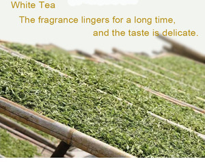 ชาดอกไม้แห้งจีนทำมือจากดอกกุหลาบและดอกมะลิ 6 รสชาติ ชาสมุนไพรดอกมะลิ รสชาติหลากหลาย - Product Image 6