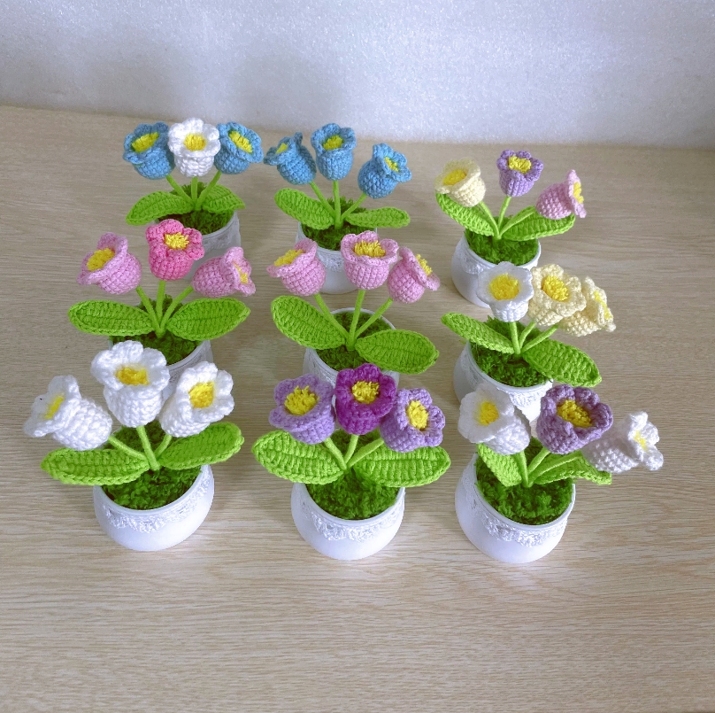 3 teste tulipano