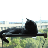 ZMaker – hamac pour chat, lit amovible, siège de repos pour chat, ventouses puissantes, bain de soleil, lit hamac pour chat