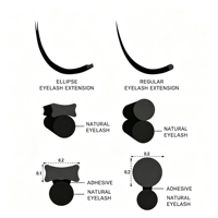 Plateaux d'extensions de cils coréens en PBT, forme ellipse plate, 0,15 mm, courbure C D, extensions de cils individuelles noir mat, fournitures en gros