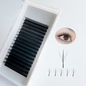 16 Rows 3D Fairy Clover Fluffy Eyelashes Handmade Thick Double Hair Pointed Flat Grafted Lashes BC/CD/DD/CC Curl