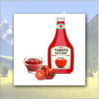 Sachet de sauce tomate aigre-douce fraîche hautement concentrée Ketchup biologique Durée de conservation de 12 mois Vente en gros Approvisionnement en vrac Pâte de tomate