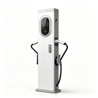 Yugong 200kW 380V Tiang Pengisian Daya DC Komersial Vertikal CCS2 EV Charger dengan Peralatan Ganda Motor & Mesin