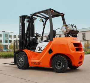 2025hsllift LPG รถยก K25นิสสัน4ล้อ3ตัน5ตัน3M4.5M คอนเทนเนอร์ EPA Kubota ยูโร5 Isuzu มิตซูบิชิ S4S สำหรับขายปลีก - Product Image 2