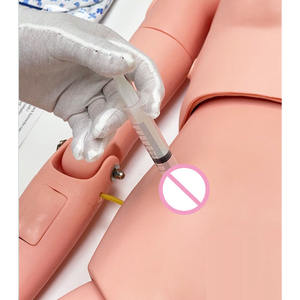Maniquí de Entrenamiento de Enfermería Multifuncional Avanzado (Masculino) para Enseñanza y Práctica en Escuelas de Medicina, Pintado a Mano en PVC/Plástico - Product Image 4