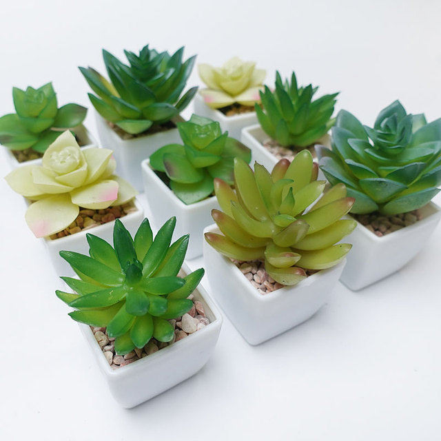 DIY Artificial Plastic Mini Bonsai Succulent Plants with Pots Assortment