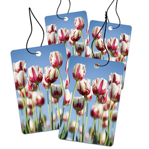 Custom <strong>Designed</strong> Multicolored Paper Air Freshener Perfume Car Hanging Deodorant Aromatherapy Car Freshener &amp; Decorative <strong>Element</strong> - Product Image 3