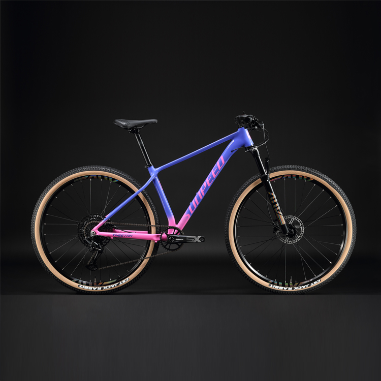 新入荷 29er チーター 12速 MTB自転車 アルミフレーム マウンテン