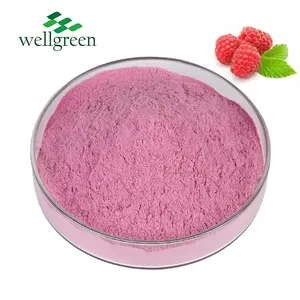 Wellgreen tinh khiết Raspberry hương vị bột Raspberry bột trái cây