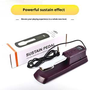 Pédale de sustain pour <span class=keywords><strong>piano</strong></span> <span class=keywords><strong>SOLO</strong></span> Collection en alliage d'acier ABS pour clavier et utilisation sur scène - Product Image 3