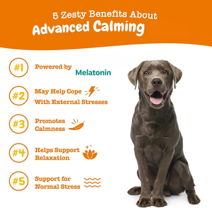 Wholesale OEM Customizable <strong>Dog</strong> Calming Chews &amp; Treats - Natural Stress Support Anxiety Relief Pet Health Care Supplements - Product Image 4