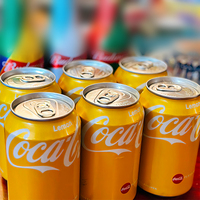 Meilleure vente Coca-Cola aromatisé au citron 330ml X 24 canettes Boissons gazeuses Boissons non alcoolisées exotiques