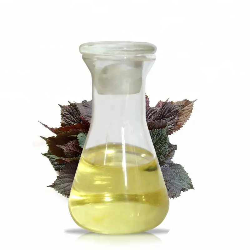 Minyak parfum bersertifikat parfum minyak biji Perilla organik 100% minyak goreng Ekstrak Perilla alami murni