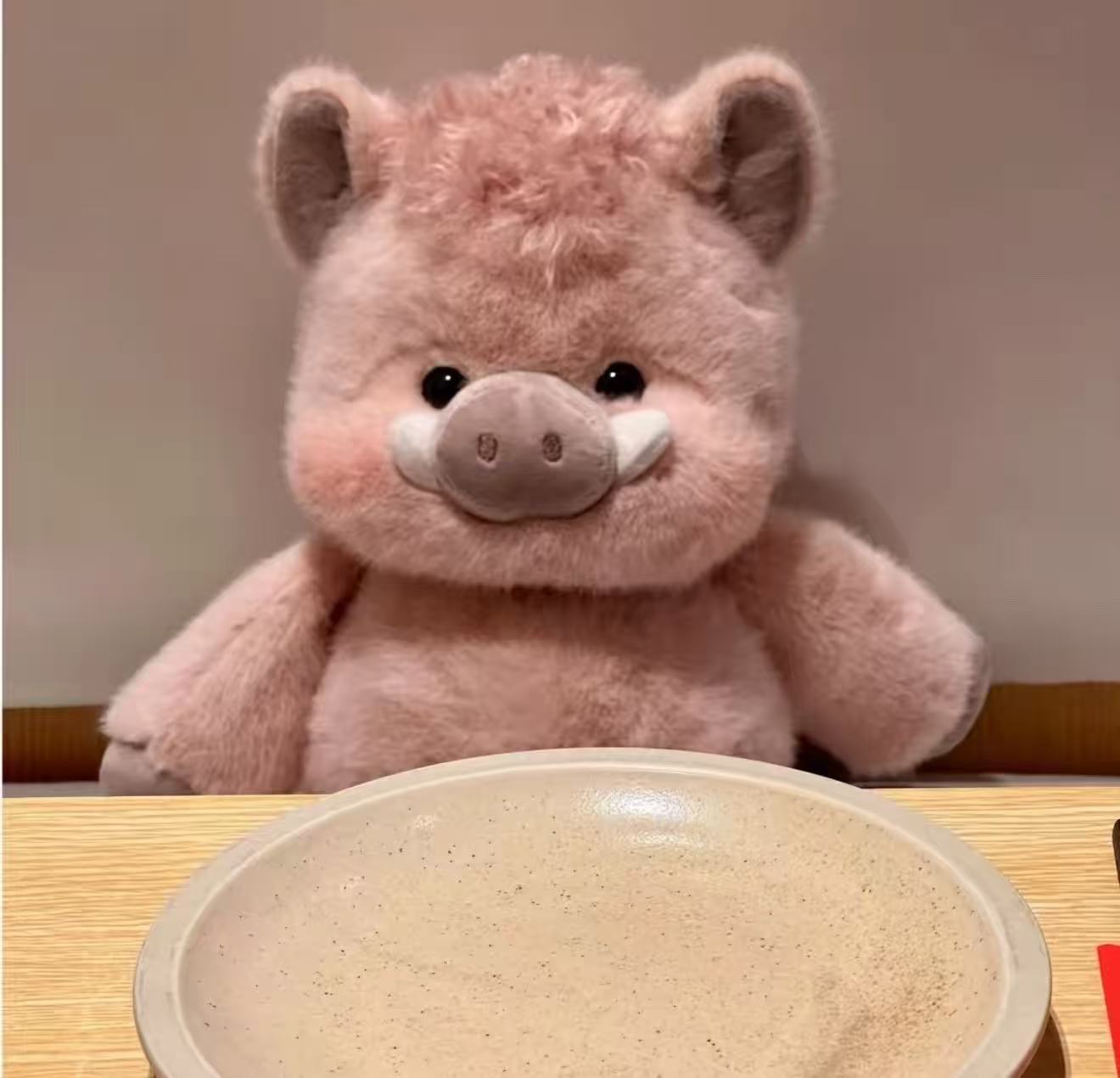 9 wild boar-pink
