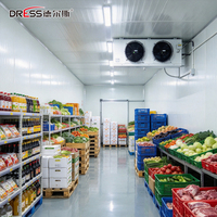 Chambre froide modulaire, petit congélateur rapide, chambre froide commerciale pour crème glacée et viande, unité frigorifique