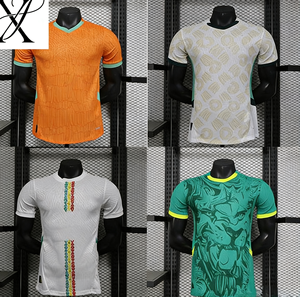 Set Jersey Sepak Bola Maillot De Foot, Pakaian Olahraga Sepak Bola, Jersey Sepak Bola untuk Pemanasan - Product Image 2