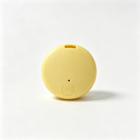 Traceur intelligent Bluetooth bidirectionnel pour clés, portefeuille, bagages, animaux de compagnie, compatible iOS et Android