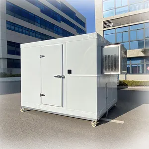 Mini réfrigérateur et congélateur personnalisés Salles de stockage à domicile Refroidisseur de chambre Congélateur industriel et commercial
