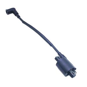 Bobine haute tension pour moteur hors-bord Tohatsu 369-06050-2 pour moteur 2 temps 4 5 CV, pièce de rechange - Product Image 2