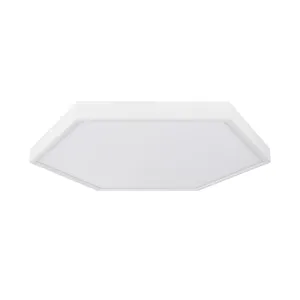 48w rgb dimmable e27 led home lighting dimmable high power 4 inch Flat Surface Mount Indoor led modern ceiling lamp