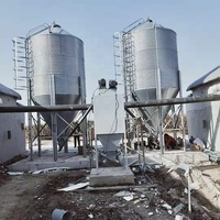 Silo per Cereali e Mangimi Industriale di Alta Qualità in Vendita, Costruzione in Acciaio Resistente per Magazzino