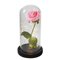Agent d'exécution de dropshipping 2025 Rose éternelle LED Galaxie romantique, Décoration créative pour la Saint-Valentin et les mariages