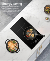 Cuisinière à Induction intégrée 1800W, Wok, cuisinière à Induction Portable, meilleure qualité, livraison gratuite