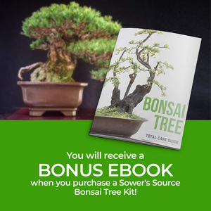 Kit pemula penanaman taman, pot bunga bonsai tumbuh peralatan bonsai luar ruangan - Product Image 6